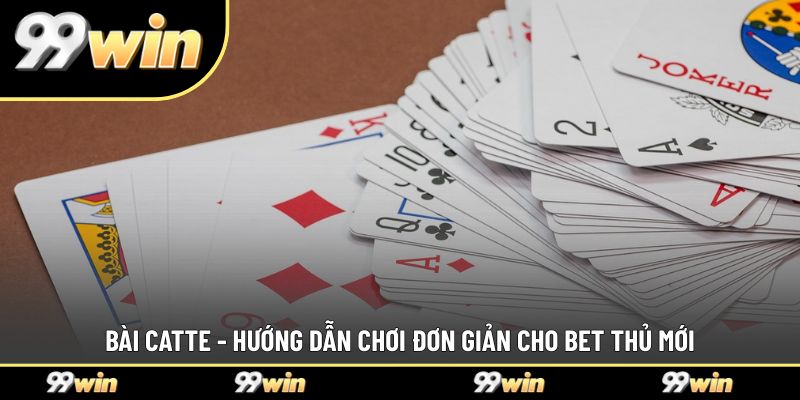 Bài Catte - Hướng Dẫn Chơi Đơn Giản Cho Bet Thủ Mới