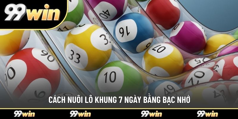 Cách nuôi lô khung 7 ngày bằng bạc nhớ