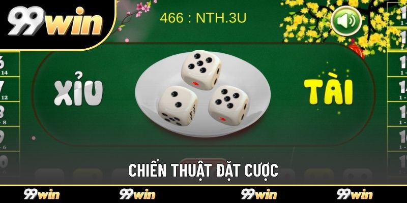 Chiến thuật đặt cược