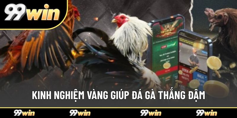 Kinh nghiệm vàng giúp đá gà thắng đậm