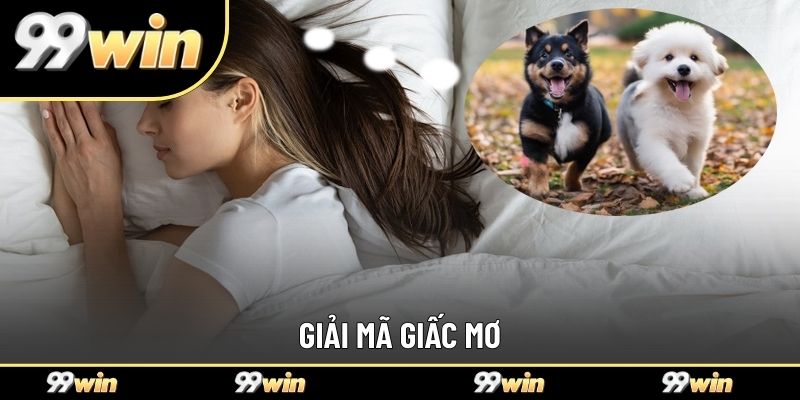 Giải mã giấc mơ