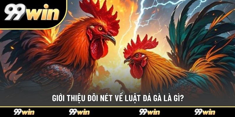 Giới thiệu đôi nét về luật đá gà là gì?