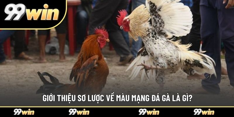 Giới thiệu sơ lược về màu mạng đá gà là gì?