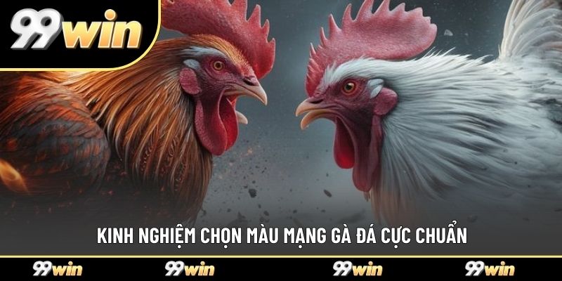 Kinh nghiệm chọn màu mạng gà đá cực chuẩn
