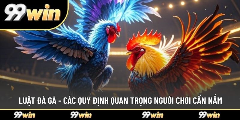 Luật Đá Gà - Các Quy Định Quan Trọng Người Chơi Cần Nắm