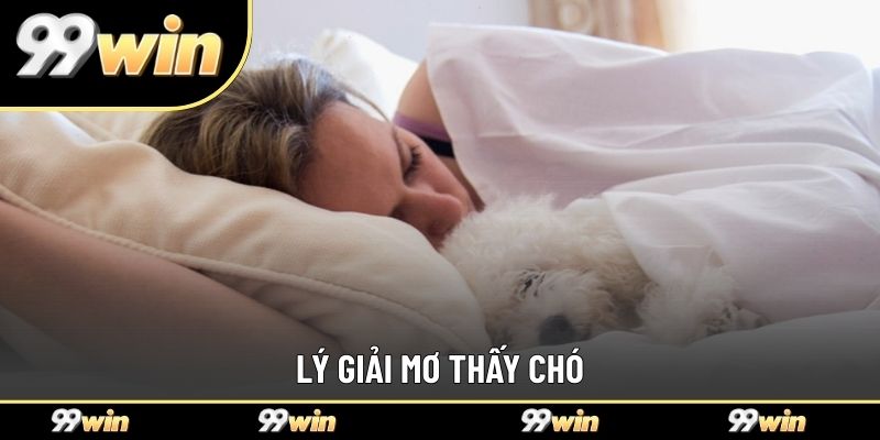 Lý giải mơ thấy chó