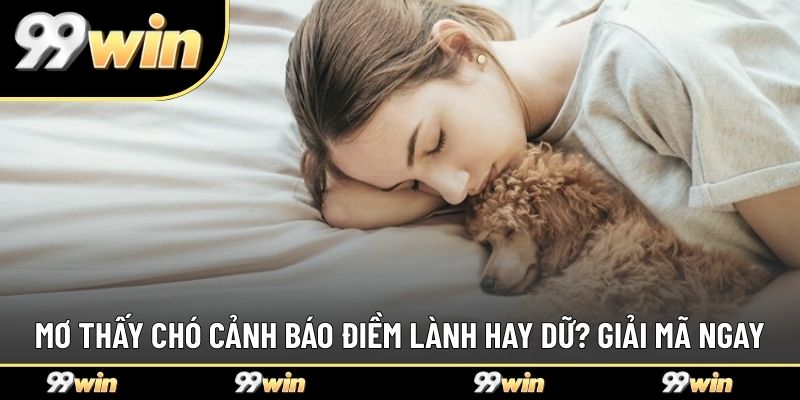 Mơ Thấy Chó Cảnh Báo Điềm Lành Hay Dữ? Giải Mã Ngay