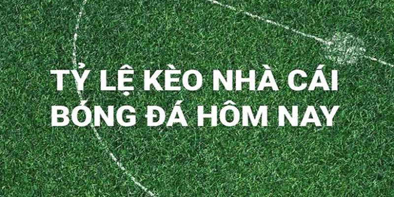 cách đọc tỷ lệ kèo nhà cái