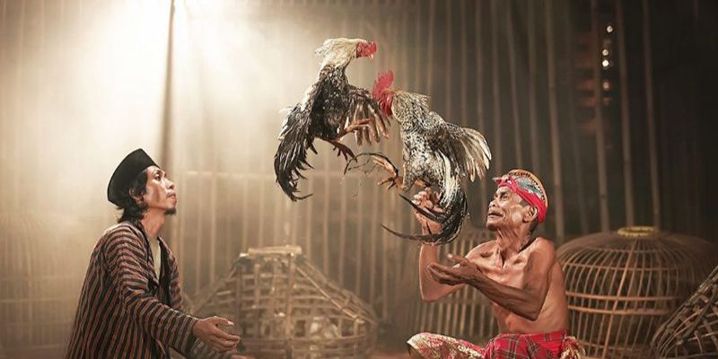 Mẹo om bóp gà đá chuẩn